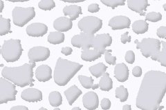 2141C-White-Crocodile