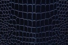 3100C-Black-Crocodile