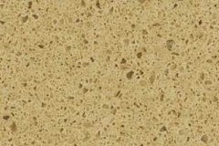 Cambrian-Gold_Desktop_600x6