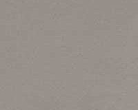 DIMGRAY
