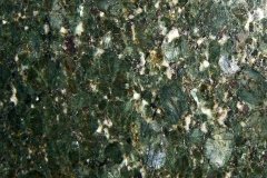 BUTTERFLY-GREEN