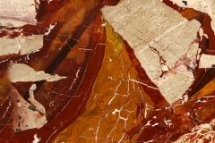 breccia-pontificia