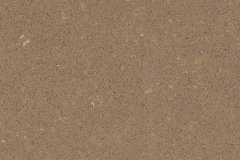 Fossil-Brown-Quartz