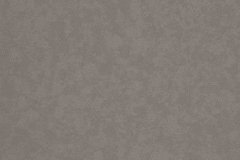 Dove_Grey